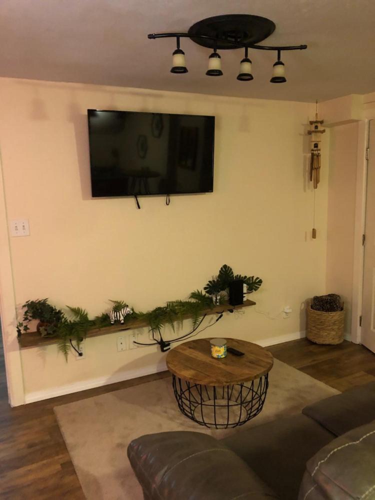 Jungle theme